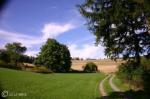 Golden Meadow Ln Mchenry, Md 21541 Mc Henry, MD 21541 - Image 1045249