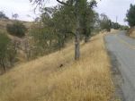 0 Lot 44 Hidden Lake Blvd Friant, CA 93626 - Image 306657