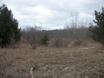 00 Murhpy Lake Silverwood, MI 48760 - Image 1784608