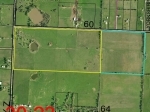 7484 N State Hwy Z Willard, MO 65781 - Image 104707