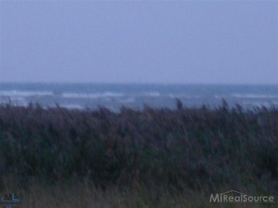 00 Rapson Harbor Beach, MI 48441