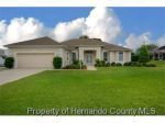 9272 WESTSHORE DR Spring Hill, FL 34613 - Image 286299