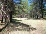 Pcls3D-S Coconino Forest Rd 867 Flagstaff, AZ 86001 - Image 1331919