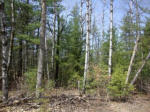 Lot 2 County Rd L Beecher, Wi 54156 Pembine, WI 54156 - Image 262087