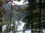 Lot 9 Huskey Point Mill Spring, NC 28756 - Image 324419