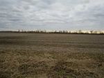0 Camper (LOT A-5) Elmore, OH 43416 - Image 384873