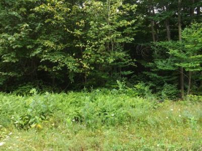 14 Sunrise Drive Lot 14 Laporte, PA 18626