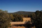 Scotties Way, Lot 1 Pecos, NM 87552 - Image 1230640