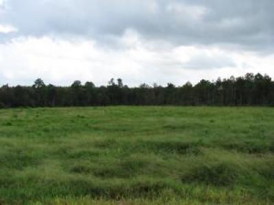 Lot 36 Short Look Dr. Carriere, MS 39457