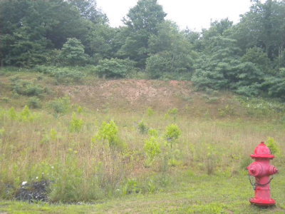 Cresent Drive West Jefferson, NC 28694