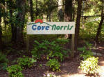 Nona Way Lane Caryville, TN 37714 - Image 216169