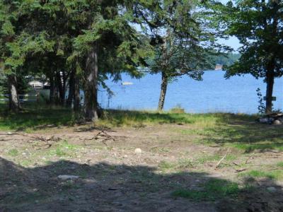 Lot 3 Hwy 51 Hazelhurst, WI 54531