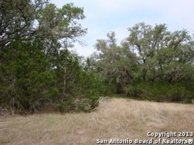 TRACT 33 PR 2510 (CR 251) Hondo, TX 78861