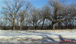 Oak Bluff's 6th Addition - Lot 3 Block 2 New Ulm, MN 56073 - Image 1671648