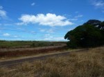 Lot #: B - Kokee Rd Kekaha, HI 96752 - Image 388557