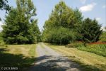 23805 POINT LOOKOUT RD Leonardtown, MD 20650 - Image 319105