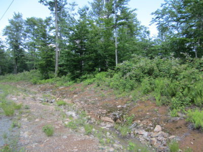 Lot 19 West Hollow Road Blossburg, PA 16912