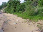 3891 Lakeshore Lexington, MI 48450 - Image 1696052