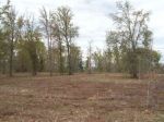 SE Kachina Avenue Lee, FL 32059 - Image 1210484