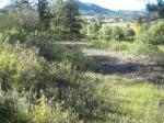 Lot 2 Oakwood Acres Chama, NM 87520 - Image 398523