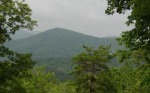 Lot 35 - #35 Hillside Drive Warne, NC 28909 - Image 956421