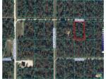 Lot 12 Sw 76 Ln Dunnellon, FL 34481 - Image 1450451