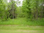 Jackie Ct Greenville, WI 54942 - Image 385651