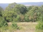 LOT 16 SUMMIT CIR Frostburg, MD 21532 - Image 1723480