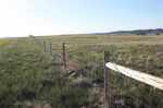Tbd Road 152 Meriden, WY 82081 - Image 227707
