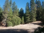 0 Mid Mountain Rd Potter Valley, CA 95469 - Image 1275879