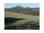 15997 Greasy Valley Rd Prairie Grove, AR 72753 - Image 280219