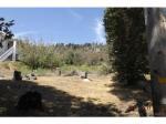 26296 Hwy 18 Rimforest, CA 92378 - Image 1187820