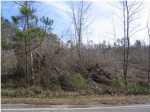 3 - Woodruff Mill Rd Adamsville, AL 35005 - Image 395149