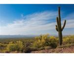 1000 Trails End Road Fort Mcdowell, AZ 85264 - Image 1929467