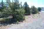 Lot 92 Quail Ridge Weed, CA 96038 - Image 191559