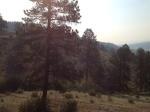 70 Cline Drive Shawnee, CO 80475 - Image 219573