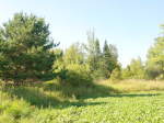 N4855 Homestead Rd Hawkins, WI 54530 - Image 1186732