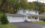 11145 SPRINGVILLE HWY Onsted, MI 49265 - Image 1031077