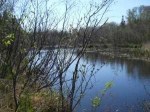 0 WALKER Moran, MI 49760 - Image 1657611