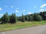 Majestic Oaks - Lot 2/blk 4 Hidden Pines Dr Carlton, MN 55718 - Image 225129