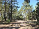 0 Forest Road 160 Chamisal, NM 87521 - Image 1236972