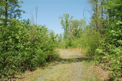 1 PASSAPATANZY DR King George, VA 22485