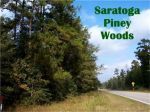 40 Ac FM 787 Saratoga, TX 77585 - Image 2042050