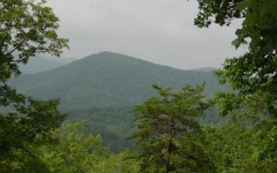 Lot 35 - #35 Hillside Drive Warne, NC 28909