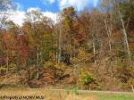 County Highway 38 Sutton, WV 26601 - Image 1438827