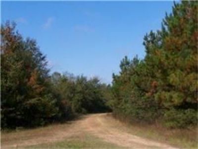 50 Ac FM 787 Saratoga, TX 77585