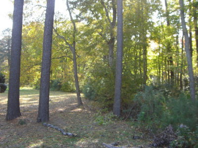 Lot 3 Lankford Highway Eastville, VA 23347