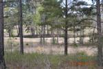 Lot 69 Golfers Ln Hawkinsville, GA 31036 - Image 440823