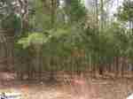 115 Lakeview Way Six Mile, SC 29682 - Image 181319