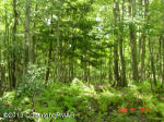 Lot 3 Mountain Terrace White Haven, PA 18661 - Image 273939